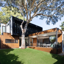 Build your Portfolio